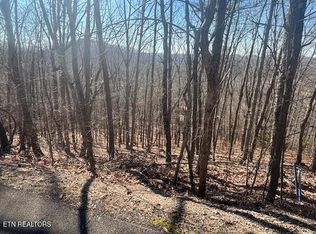 207 Laurel Mountain Rd, Madisonville, TN 37354