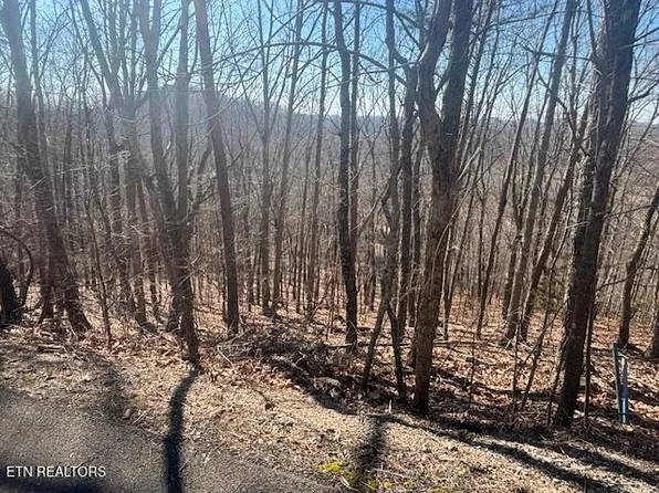 207 Laurel Mountain Rd, Madisonville, TN 37354