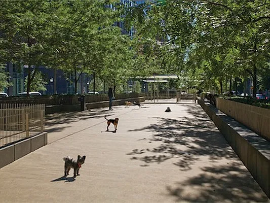 Rented by DSA Realty | media 66