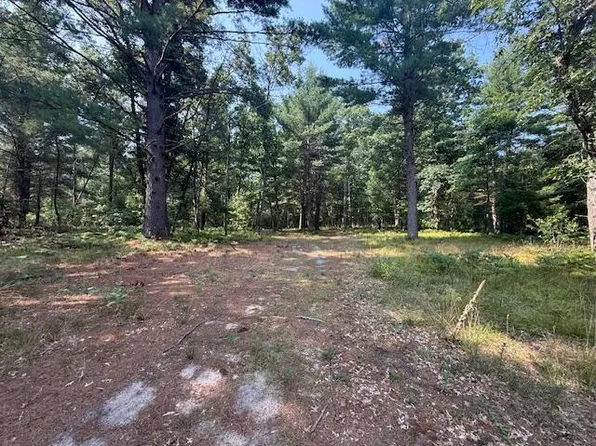 624 W 12th St, Baldwin, MI 49304