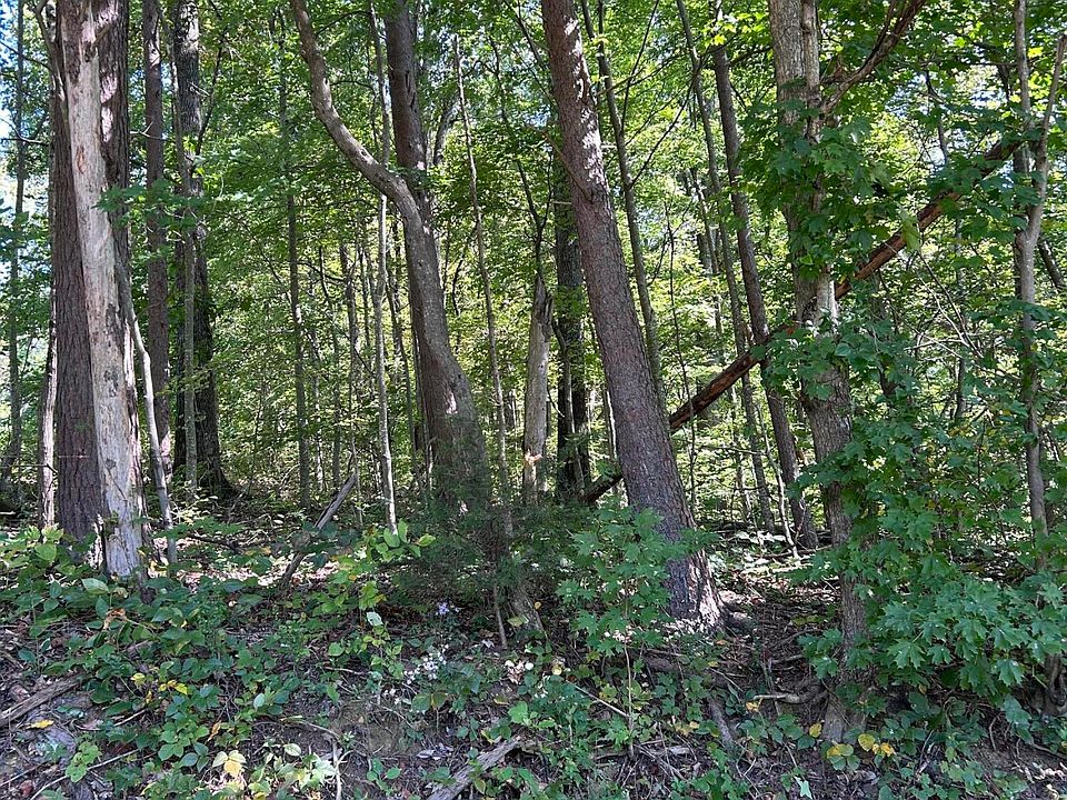 2nd image of Turner Hollow Rd