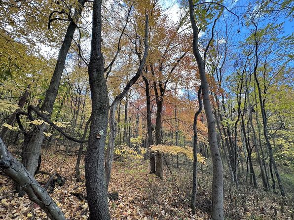 0 Bortz Mine Rd LOT WP001, Lake Lynn, PA 15451