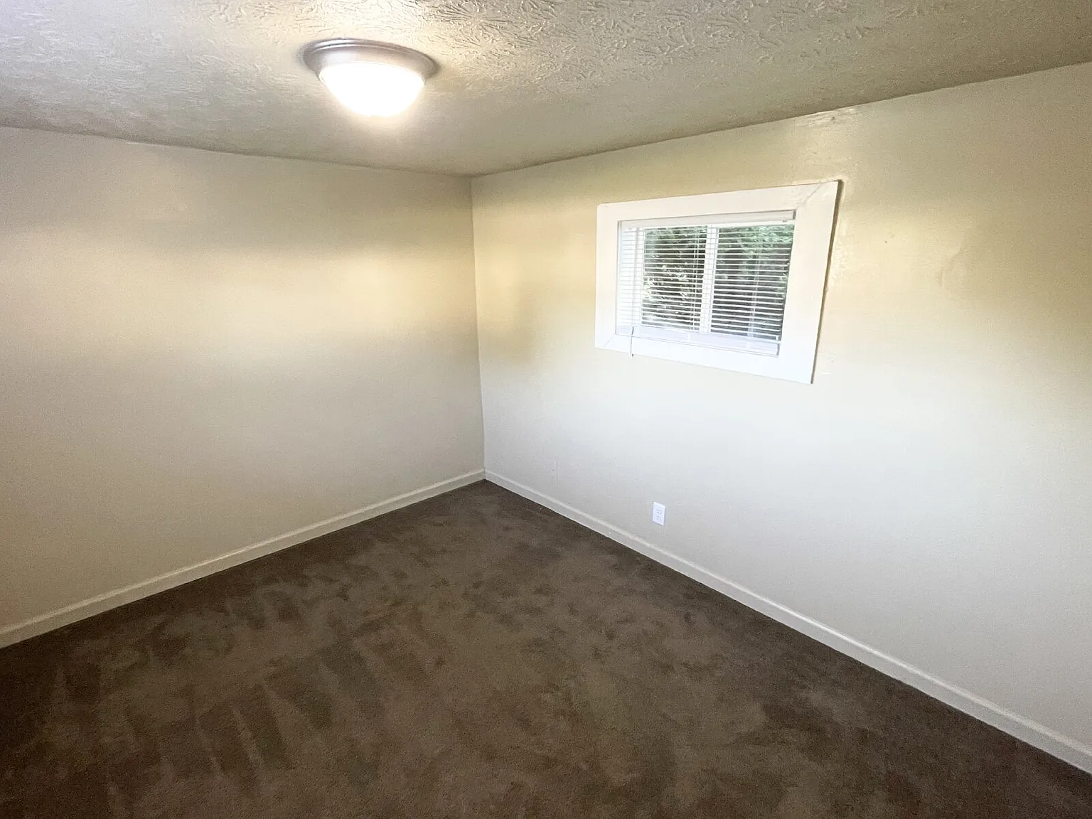 2 bed, 1.0 bath, $950 — Photo 3
