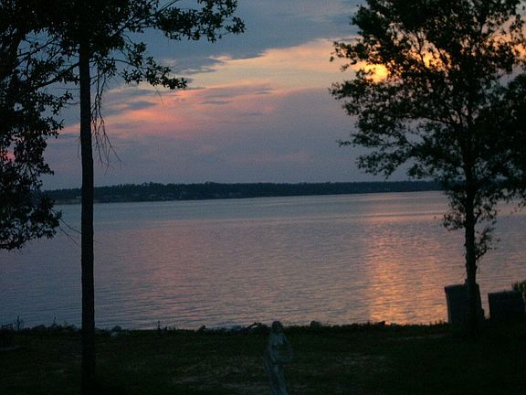 View out back of Perdido Bay 