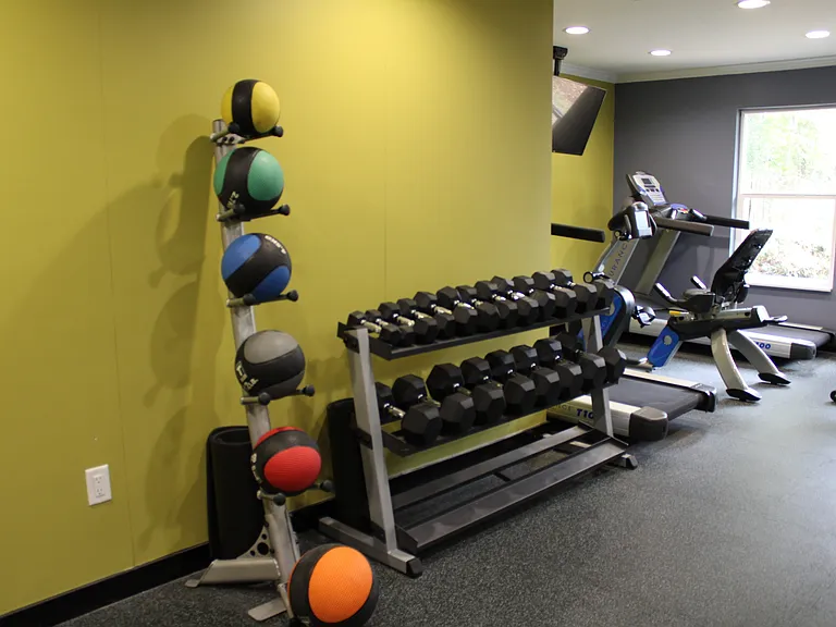 Gym - Med Balls _ Free Weights