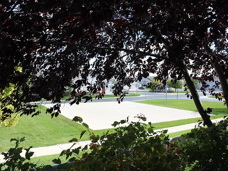 view from patio