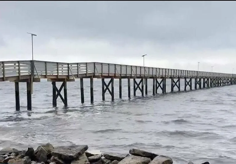718 Tarpon St — Photo 32