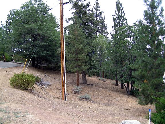 4th image of 41632 Thrush Court