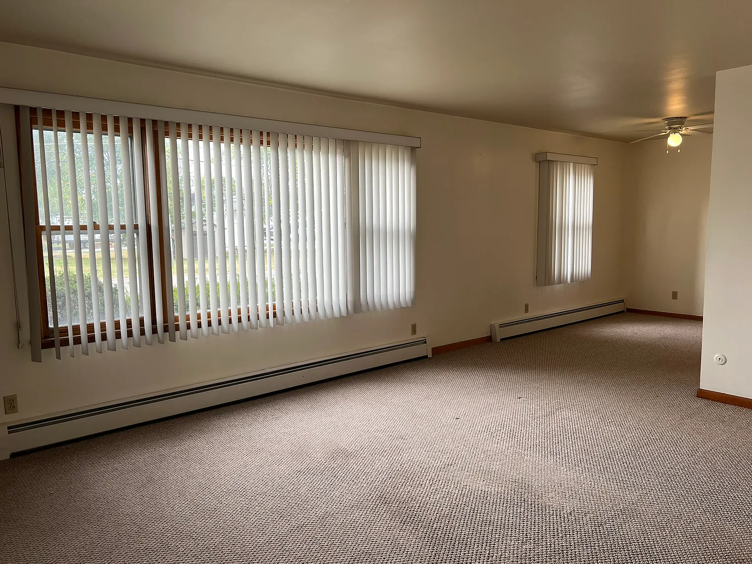 810 Walnut Street — Photo 3