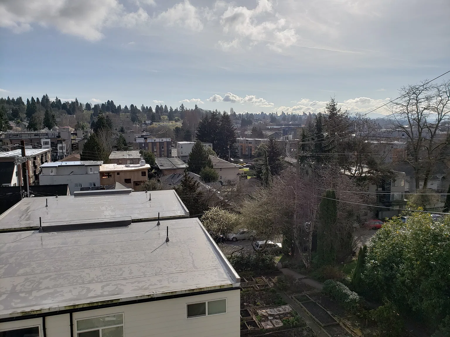 4 bed, 986 sqft, $3,695 — Photo 1