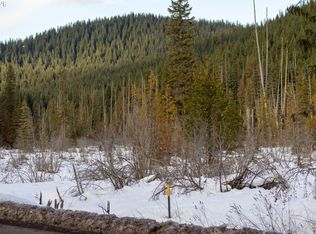 93732 E Highway 26, Government Camp, OR 97028