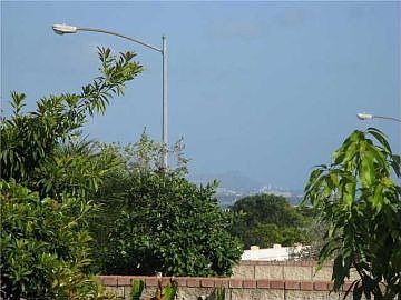 Backyard View: Diamond Head