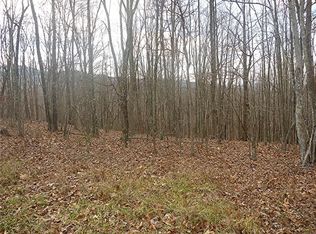 0 Mountain Valley Rd, Buchanan, VA 24066