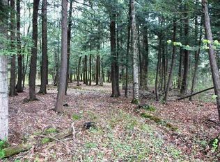 Vanderwerken Rd, Carlisle, NY 12160