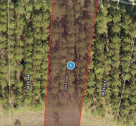 2nd image of 16802 ARTIMINO LOOP LOT 29