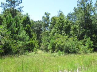 1070 Buck Swamp Rd, Brunswick, GA 31523