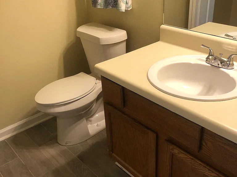 162 Holcomb Ferry Rd — Photo 16