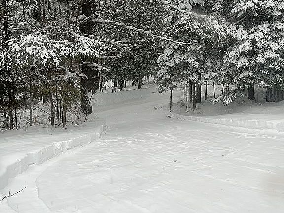 View Down Driveway