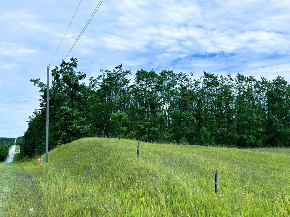 Pyke School Rd, Gaylord, MI 49735