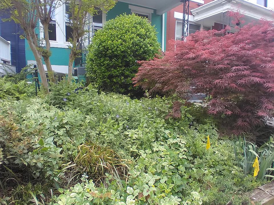 Front entrance to property