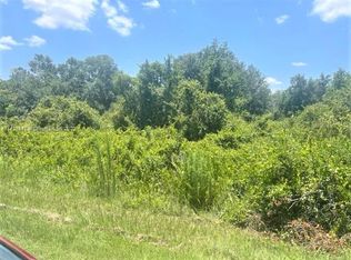 2900 W Shula Rd, Avon Park, FL 33825