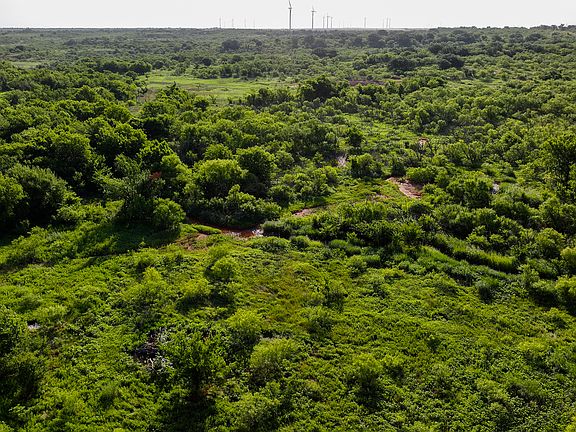 5th image of Terrapin Rd