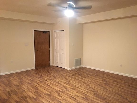 Entrance and living room