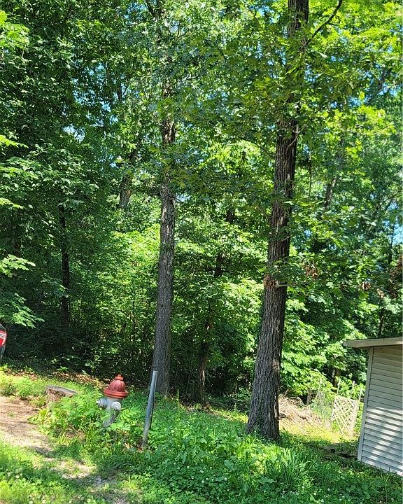 2nd image of 14 Pisgah Loop