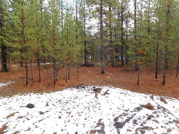 4th image of 52266 Pine Forest Dr