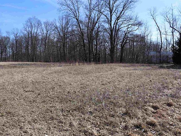 4th image of 419 Summer Lake Dr