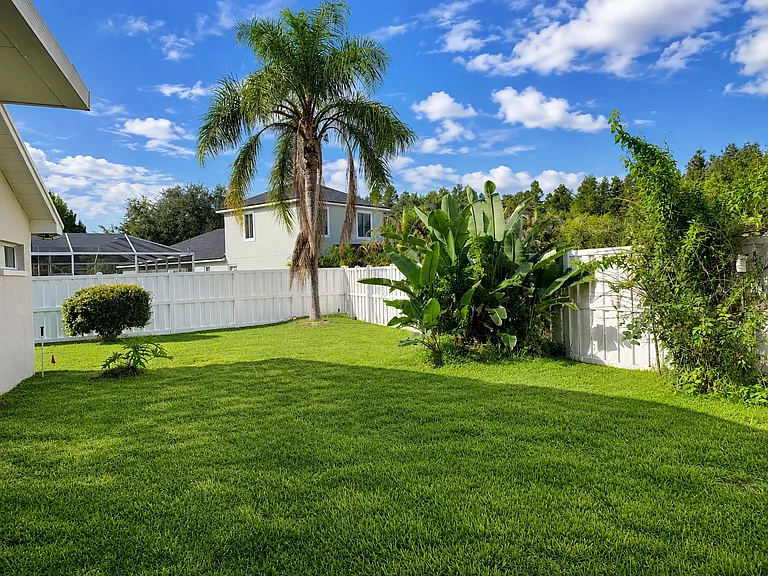house-backyard_08102026