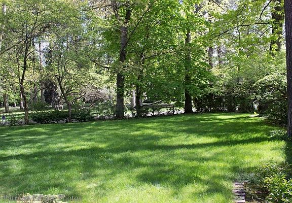 Front Lawn