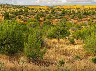 76 Surveyors Canyon Rd, Pinon, NM 88344