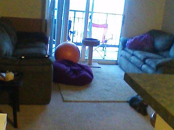 Living room area