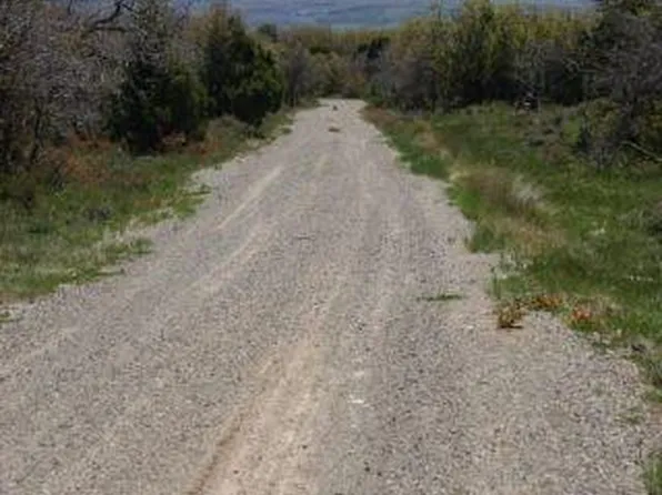 W Beaver Pines Loop Lot 10, Norwood, CO 81423