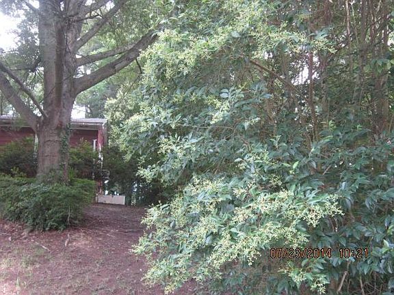 3rd image of 1135 Green Circle Dr