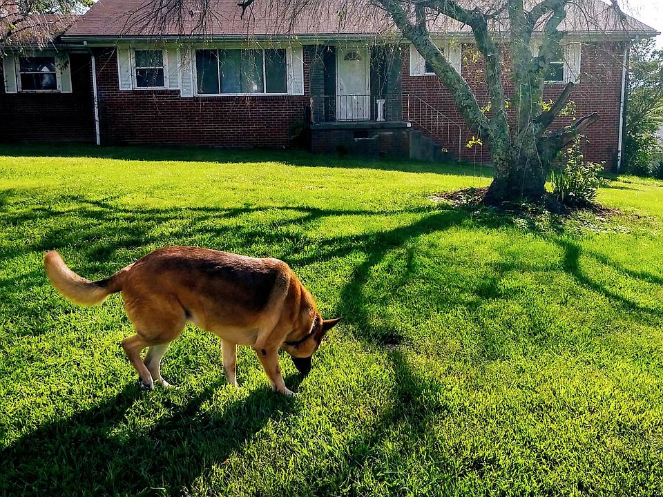 1st image of 3106 Dorothy Ln