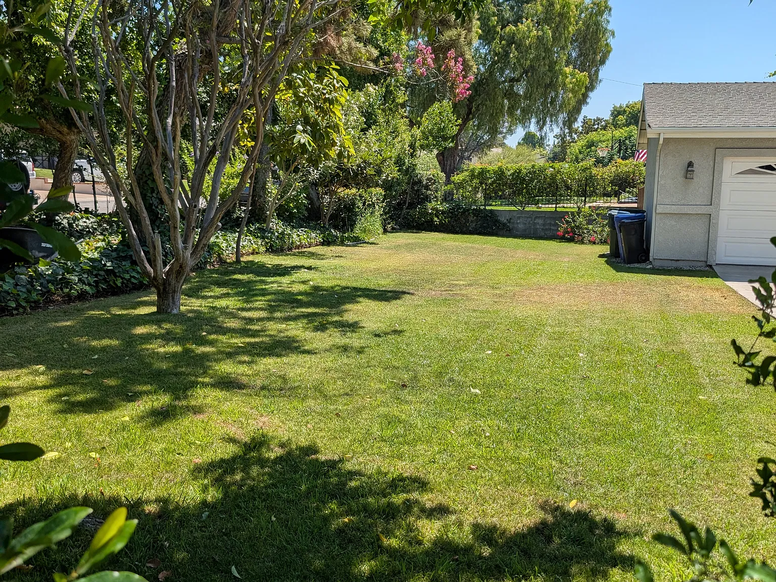 3 bed, 1500 sqft, $3,700 — Photo 4