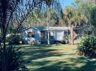 16235 Sunflower Trl, Orlando, FL 32828