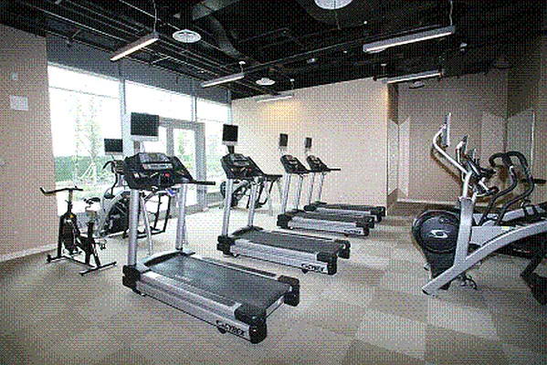 Rented by Cantor and Pecorella | media 18