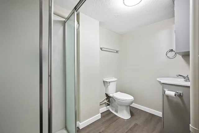 2 bed, 800 sqft, $1,250 — Photo 4