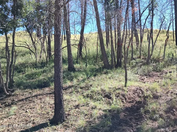 129 Sequoia Dr, Ruidoso, NM 88345