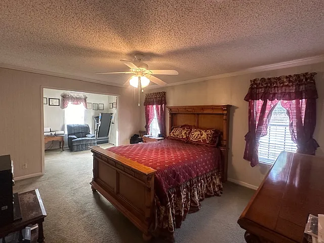29 Mike Dr — Photo 17