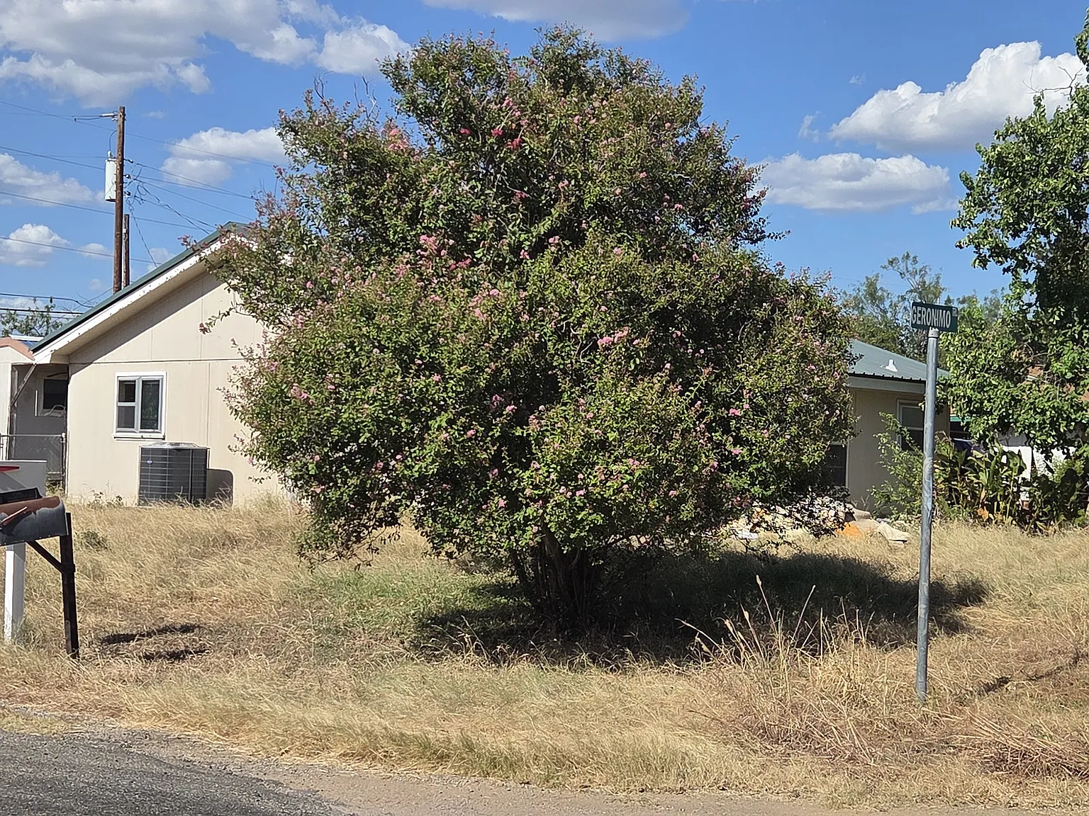 2 bed, 1191 sqft, $1,400 — Photo 3