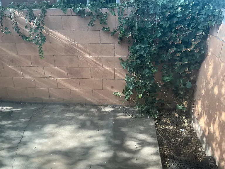 541 Palomas Dr SE — Photo 12