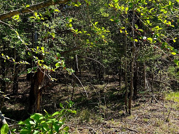 4th image of 800 County Road 2765
