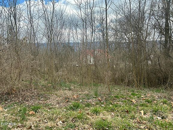 5th image of 0 Jennings Dr