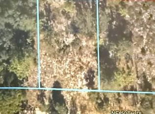 00 NE 50TH PLACE LOT 25, WILLISTON, FL 32696