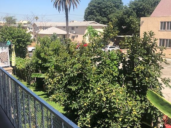 3rd image of 1120 Olive Ave APT 6