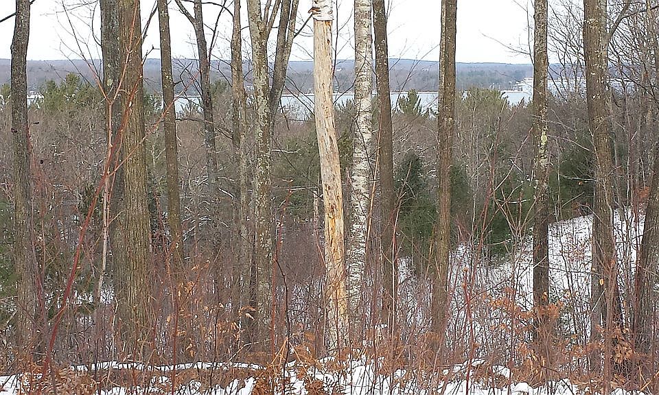 1st image of 742 Lake Vista Ct